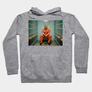 Trump Prison T-Shirts Design Hoodie